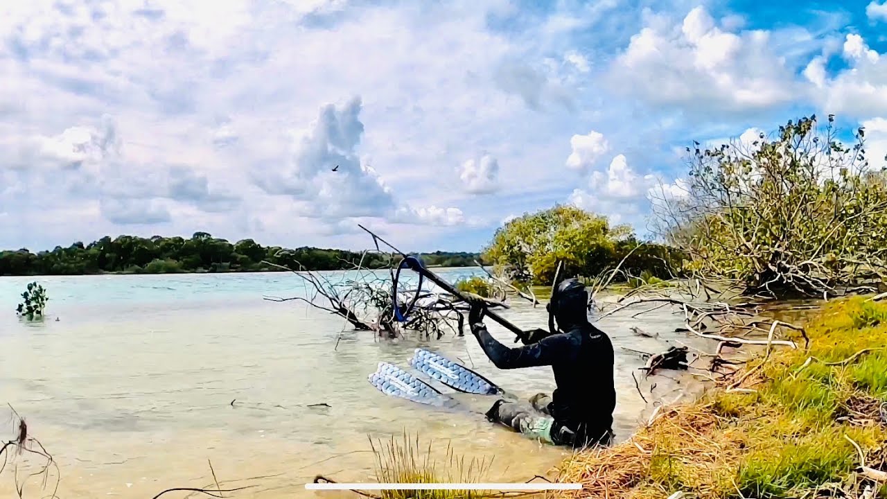 Tweed River Dive | Spear, Clean & Cook by the Shore