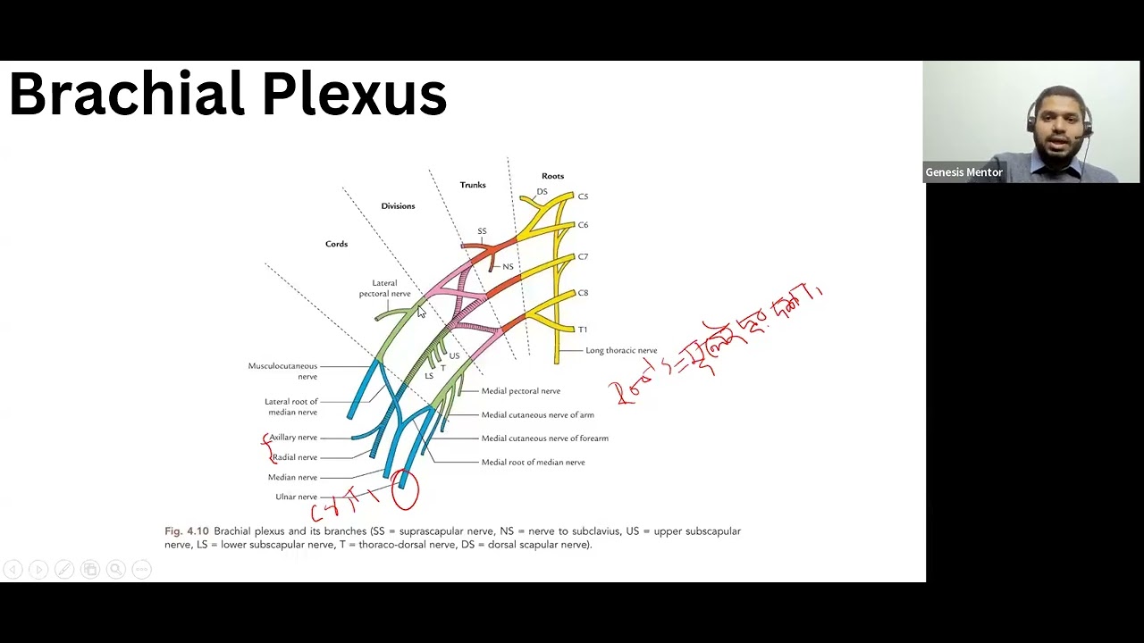MRCS Mastering Topic Upper Limb