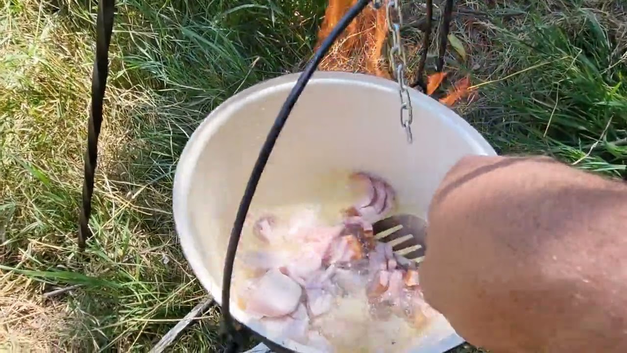 Pescuit pe râul Timis