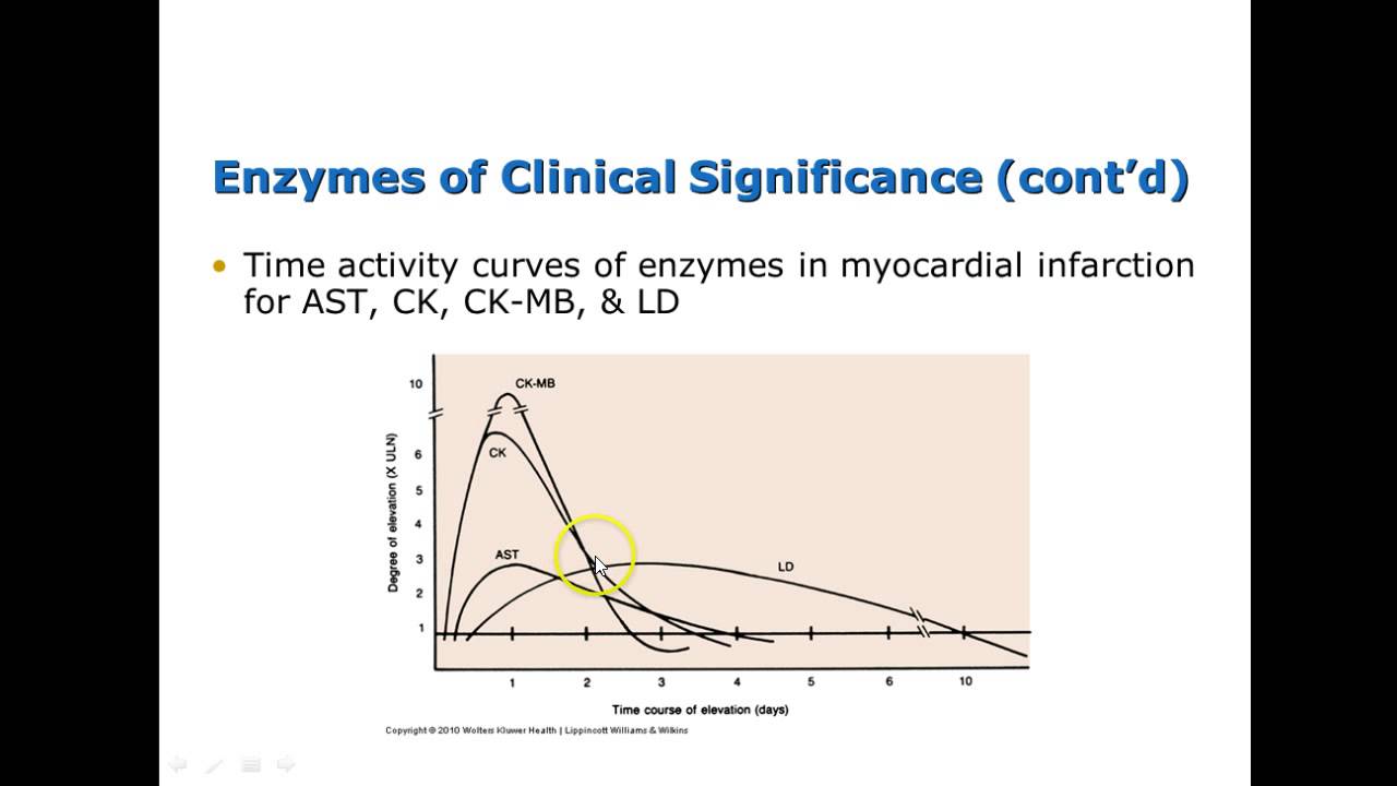Chemistry 1: Enzymes