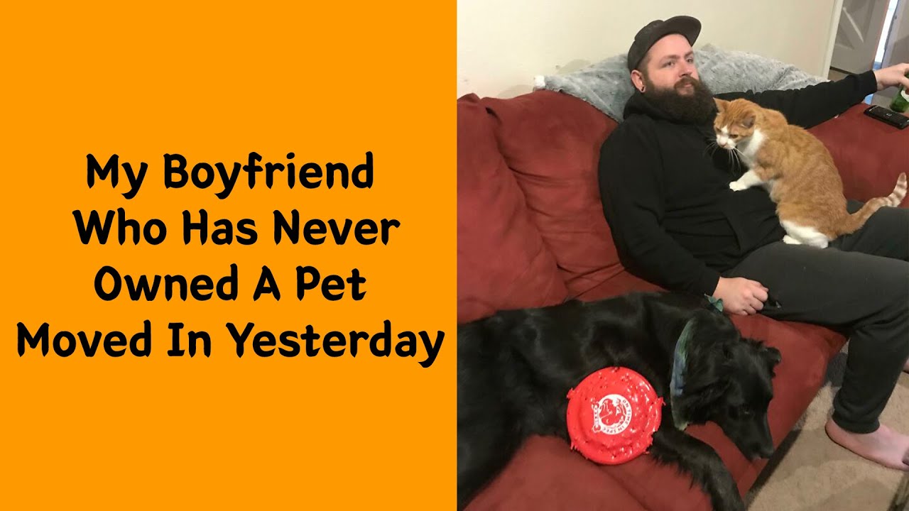 50 Shameless Pets Who Stole Their Owner’s Partner Without Any Regret