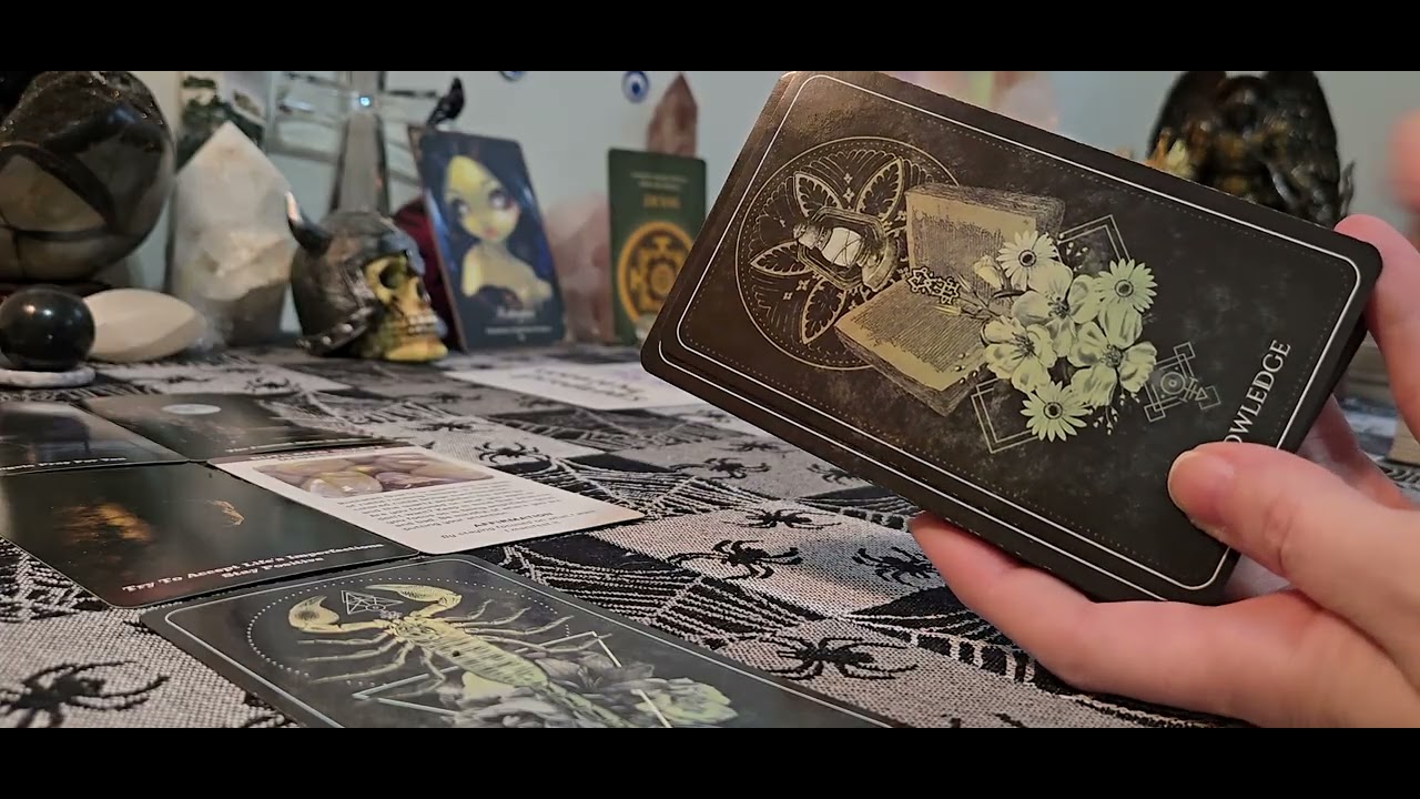 Стрелец ♐️ — боец, как тебя называют, делающий все с умом, без физических рук, только духовные.