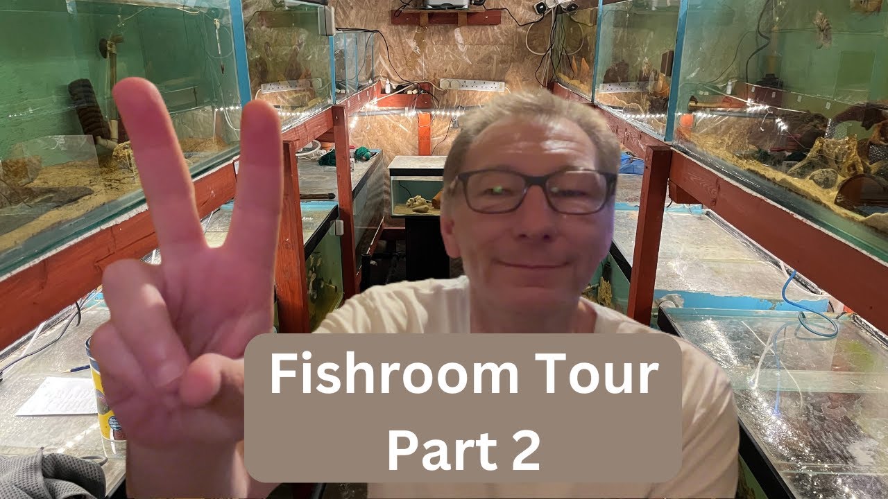 Fishroom Tour and Vlog July 2023 Part 2