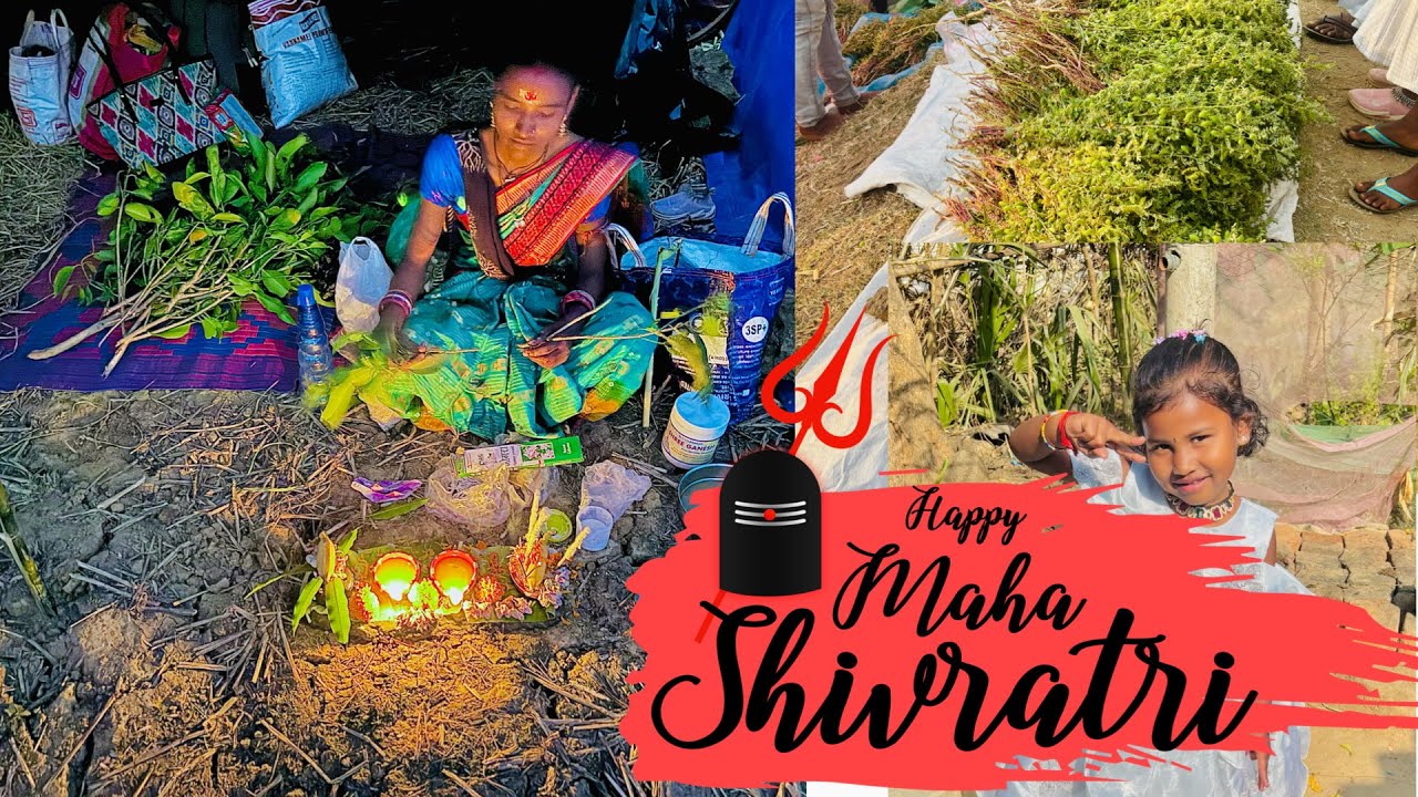 இந்த வருடம் சிவராத்திரி 🥰🙏எப்படி பூஜை பண்ணோம் நாள்முழுவதும் எப்படி போச்சுன்னு பாருங்க.