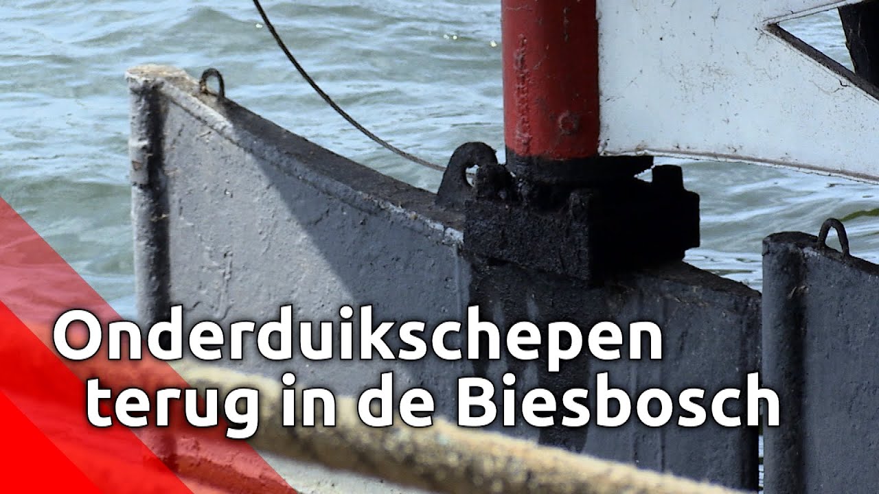 Onderduikschepen keren na 76 jaar terug in de Biesbosch