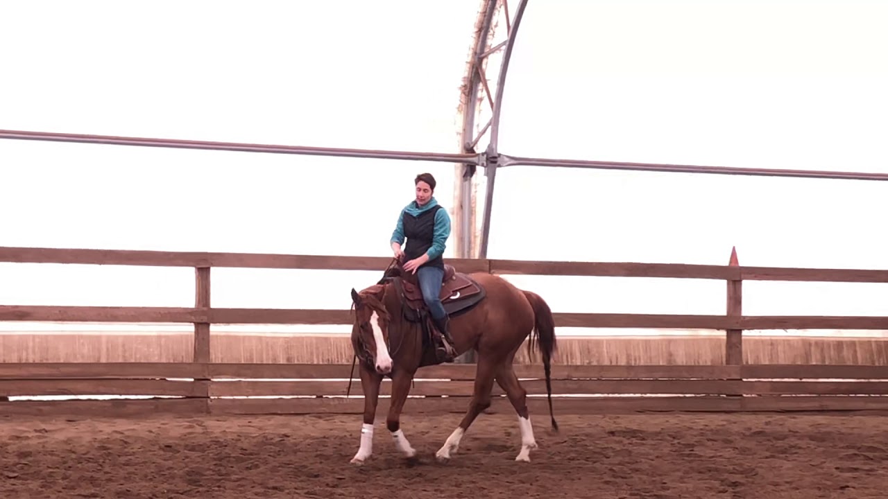 (Barils) Exercice d’entraînement pour préparer à la course de barils