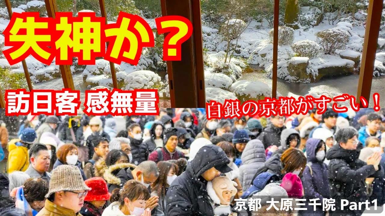 日本の銀世界は何て感動的なんだ！雪の大原三千院に来た訪日客が嬉しくて褒めちぎる！京都旅行