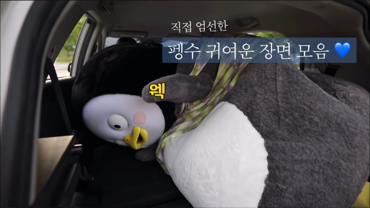 엄선한 펭수 귀여움 모음(1)