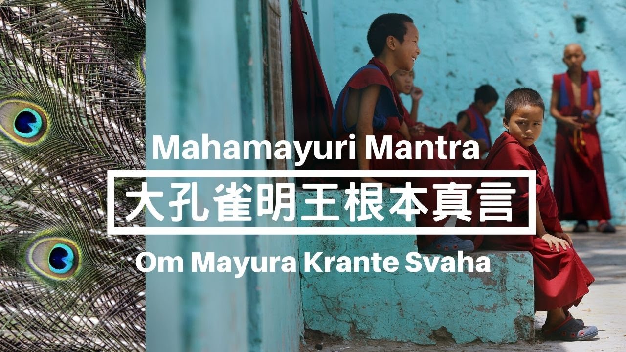 大孔雀明王根本真言 Mahamayuri Mantra (1-hour) Om Mayura Krante Svaha，Peacock King Bodhisattva（童音）
