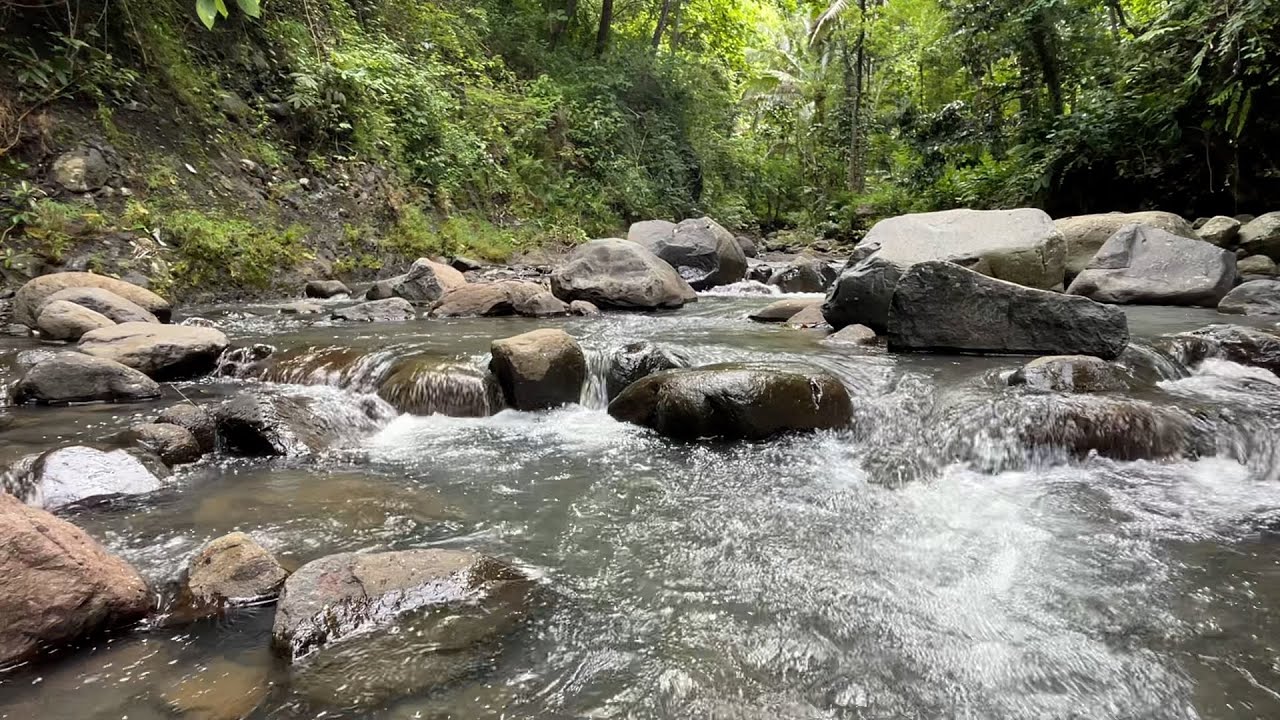 Healing River Sounds for Sleep & Relaxation 💧 | Night Nature Ambience for Anxiety Relief