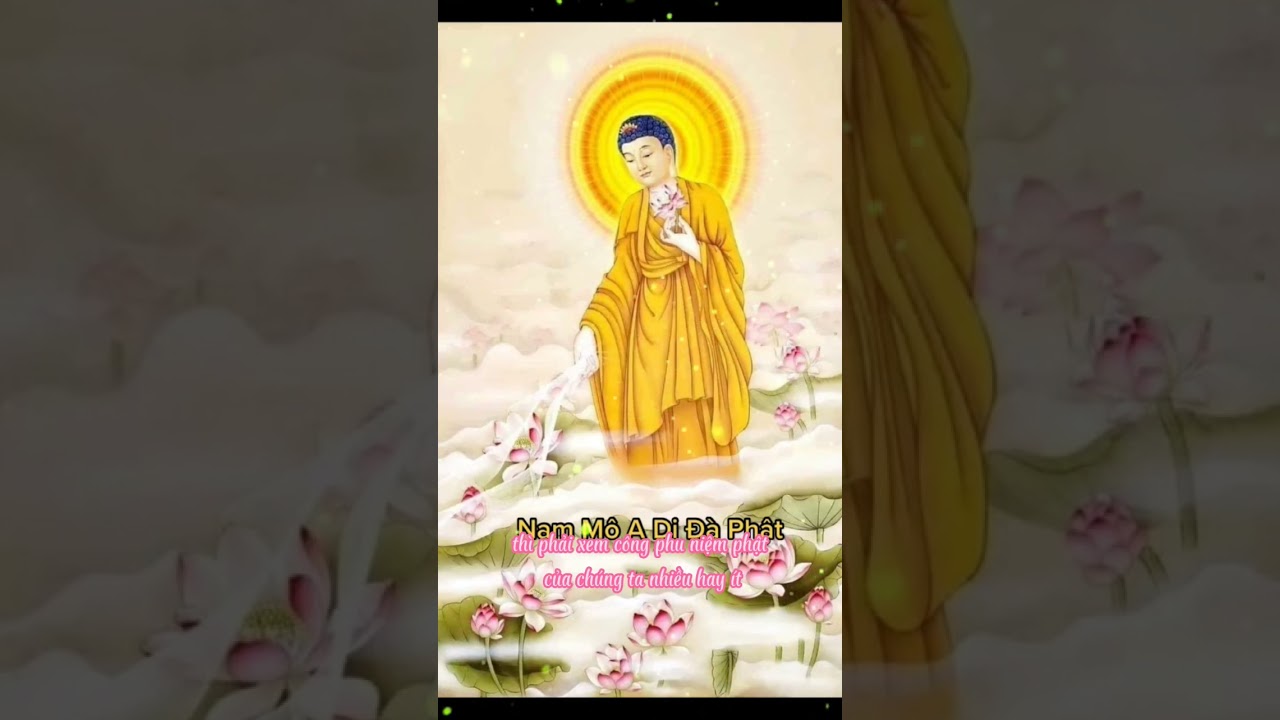 Nam M&ocirc; A Di Đ&agrave; Phật  #phat #cuclac #niemphat