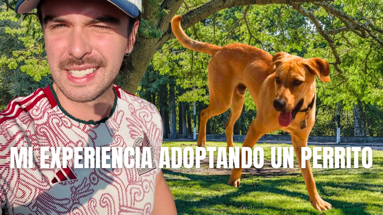 ¡Transforme la vida de un perrito rescatado! Conoce a Kako y su nueva aventura