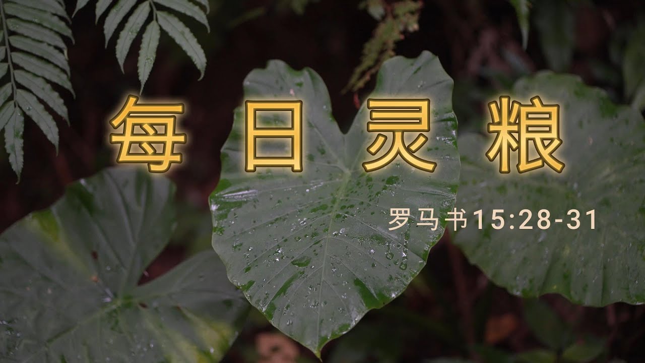 罗马书15:28-31