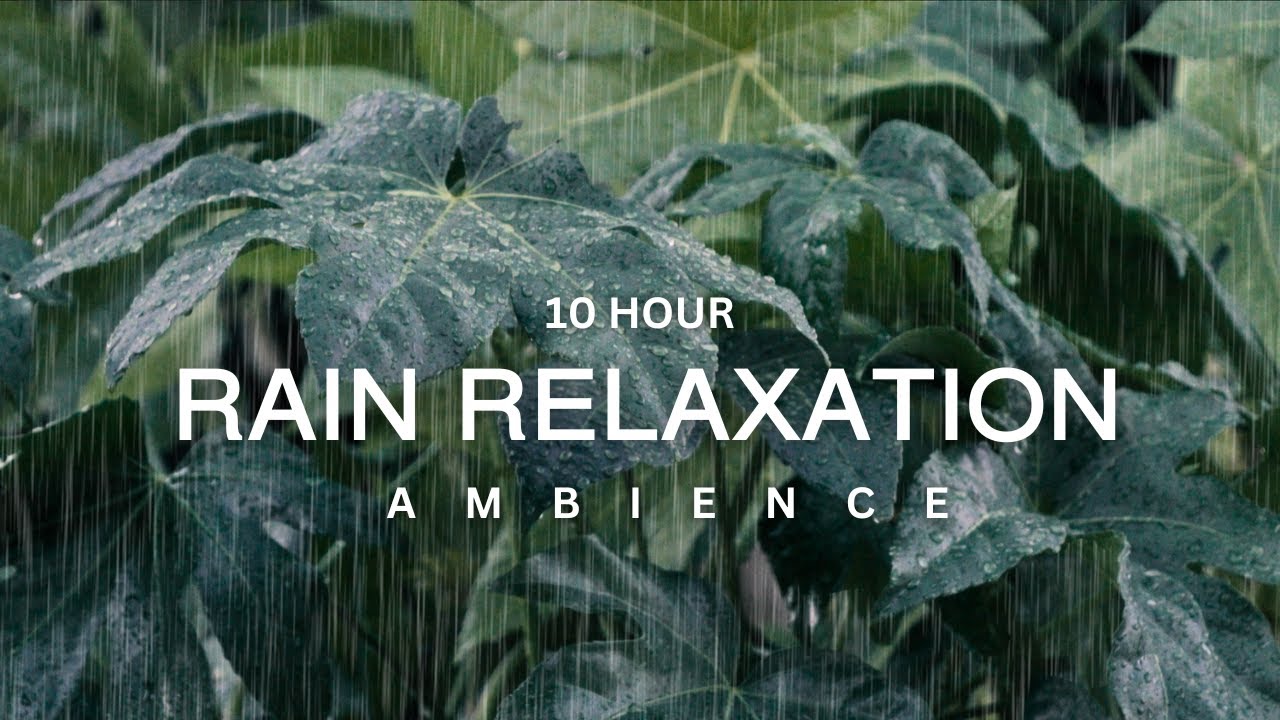 10 Hour | Soothing Rain Relaxation: Sounds for Work, Study, Sleep, Meditation