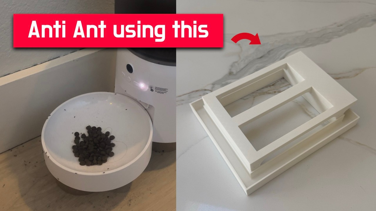 Keep ants out from you automatic cat feeder | anti-ants dog feeder