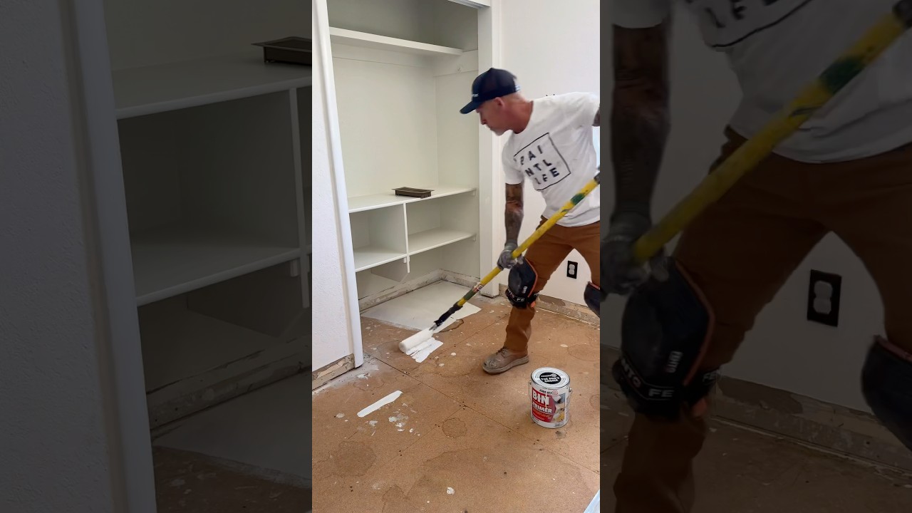 Getting rid of nasty pet odor urine stains and smells. #petodors #bin #odorremover #zinsser #pestain