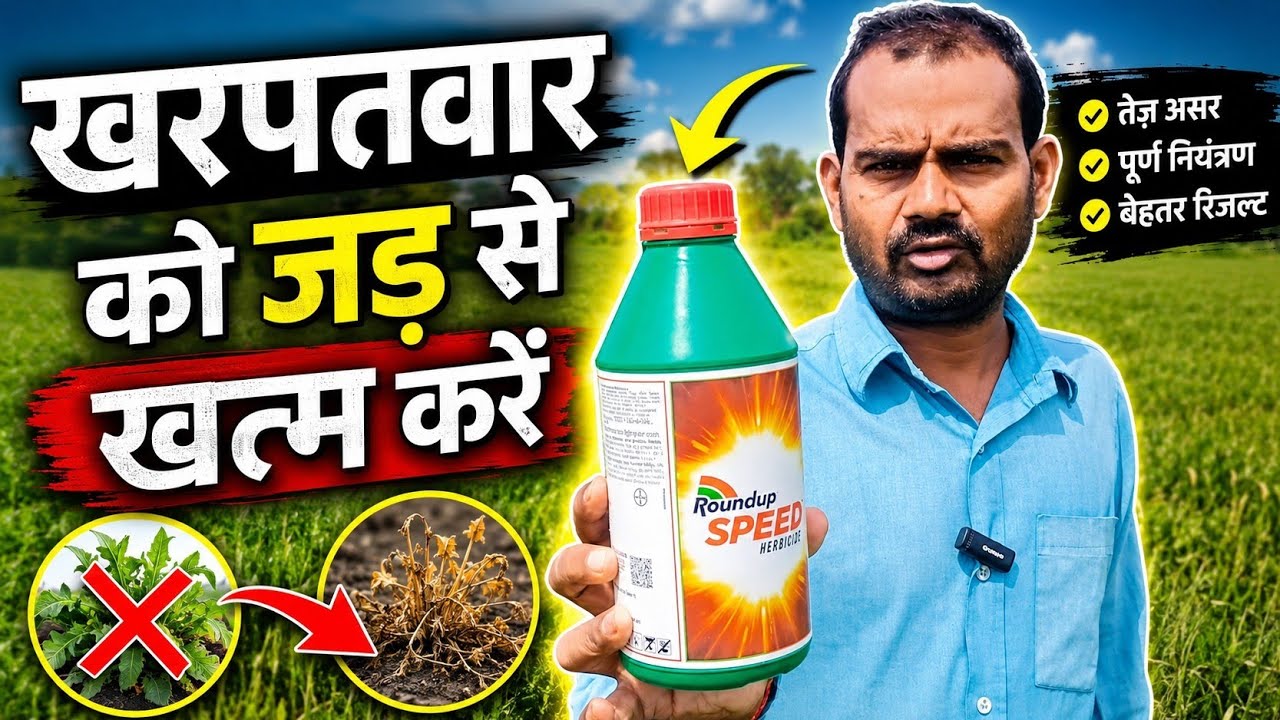 खरपतवार को जड़ से खत्म करें . Roundup  Speed Herbicide full information