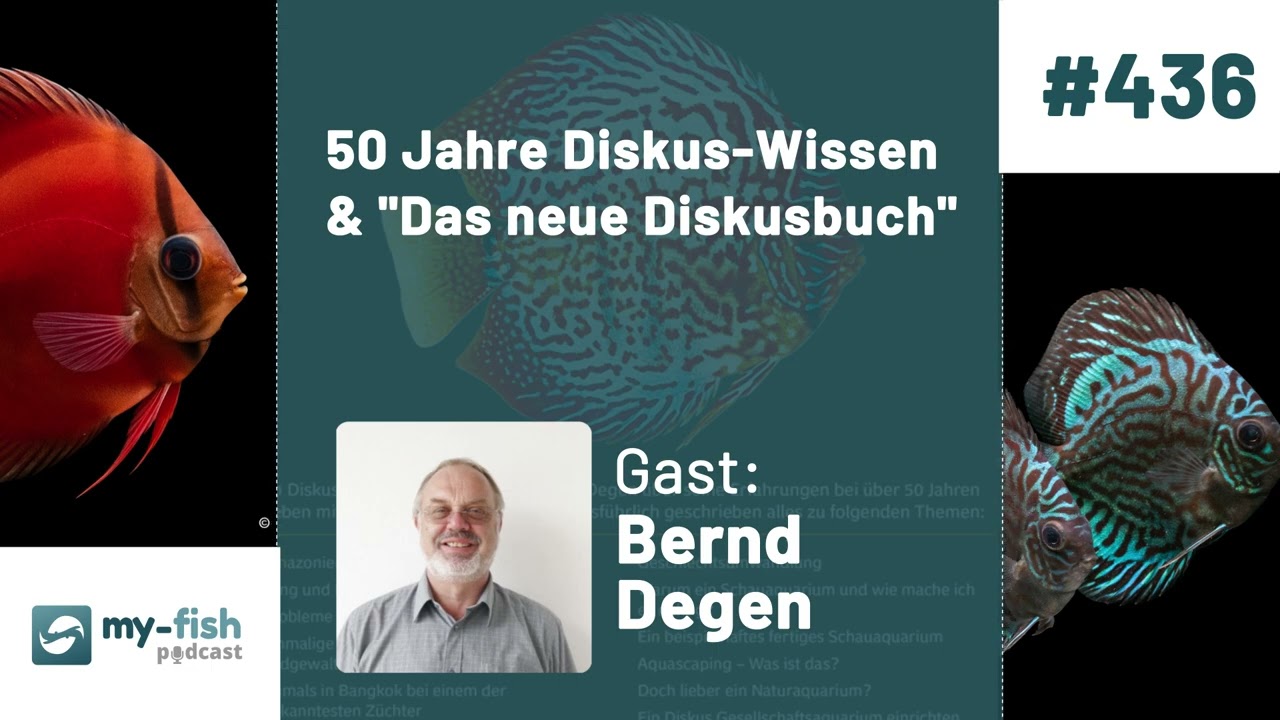 my-fish.org - 50 Jahre Diskus-Wissen & 