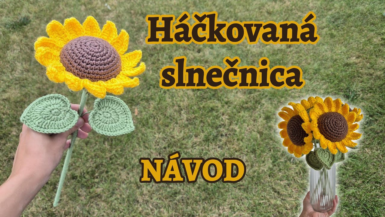 N&aacute;vod na h&aacute;čkovan&uacute; slnečnicu
