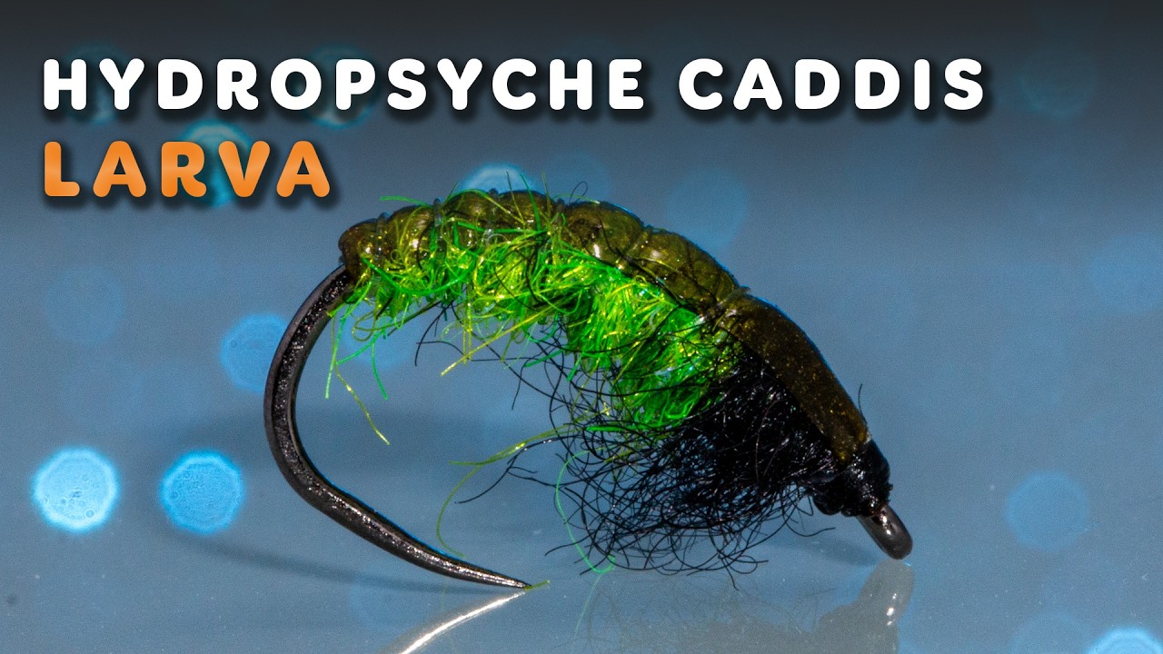 Hydropsyche &mdash; larwa chruścika na pstrąga, lipienia, brzanę