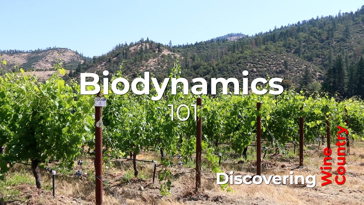 Biodynamics in Wine Intro 101