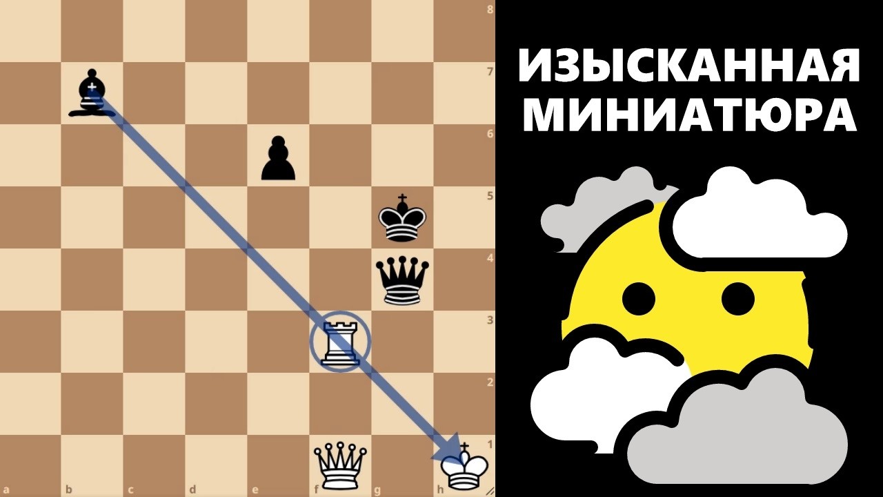 Изысканная миниатюра #шахматы #chess #этюды #chesspuzzle #study #endgame #эндшпиль #тактика #rook