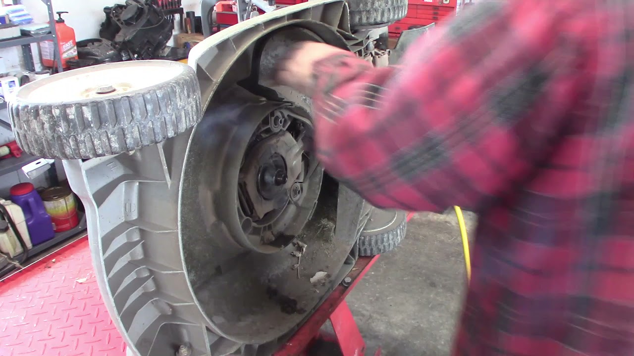 Honda HRM 215 FD Engine Swap #1
