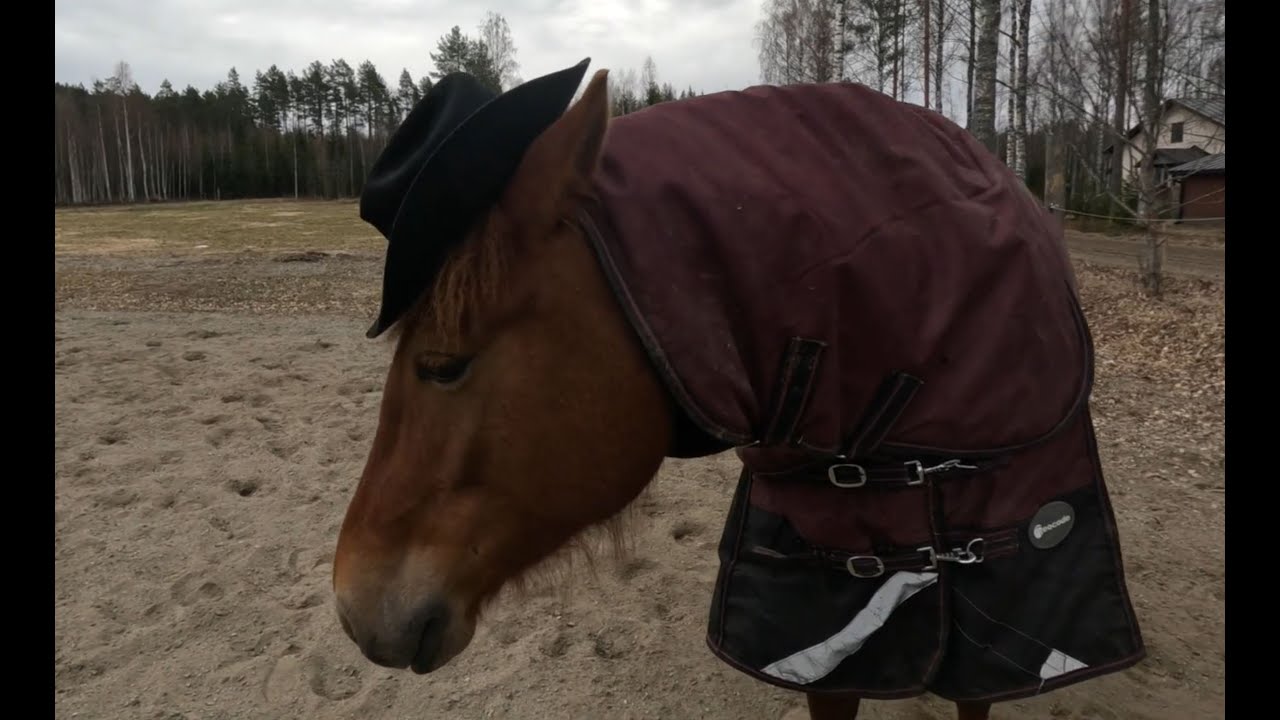 Aamun Western-jumppa
