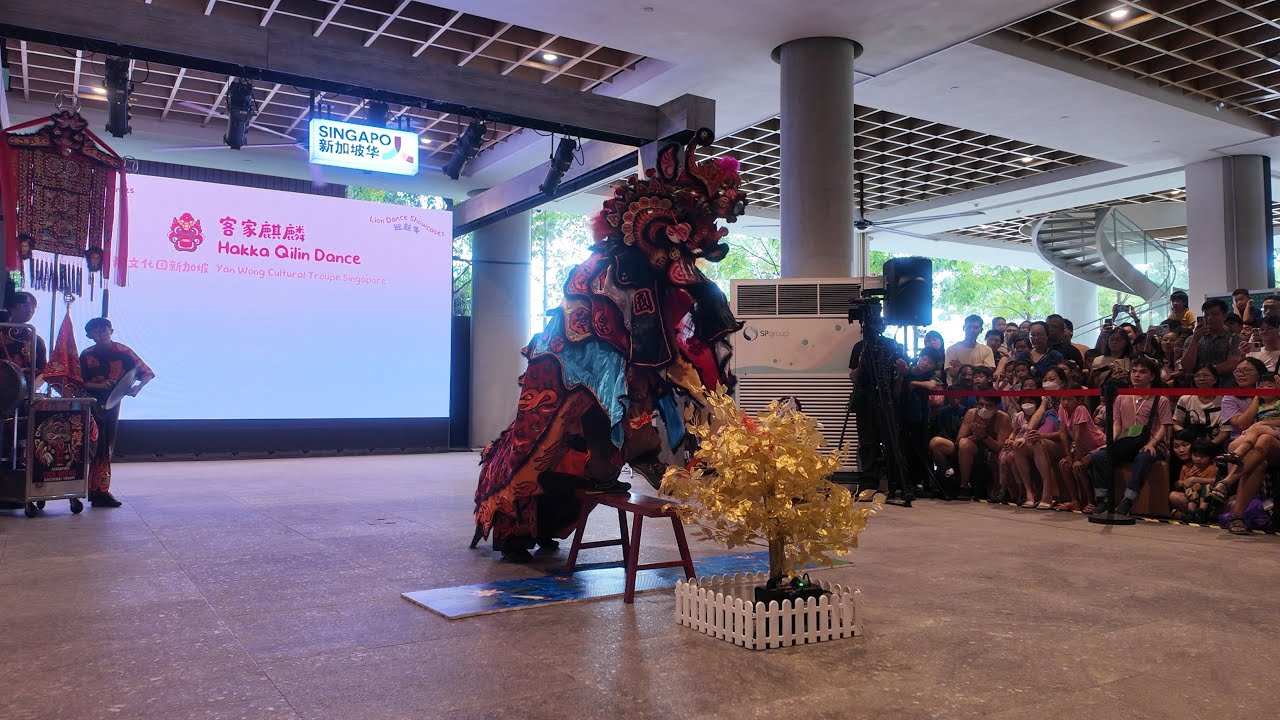 [4K] Yan Wong Cultural Troupe Hakka Qilin Dance 恩隍文化團 客家麒麟舞 31.01.26