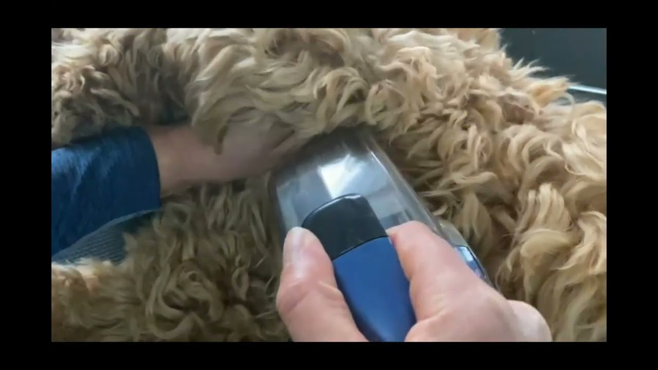 Automatic Slicker Brush for Pets
