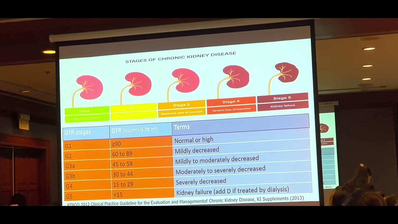 EP.9 CKD & Initiation of RRT อ.เอนก  12.02.65