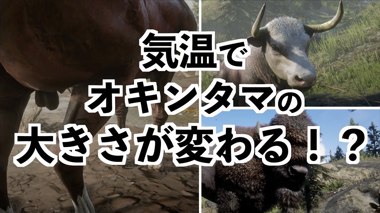 【RDR2の作り込みがやばい検証】RDR2MOD実況