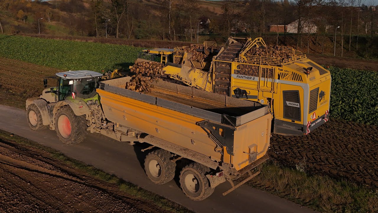🇵🇱KAMPANIA BURACZANA 2025 ✔ ROPA PANTHER 2 & CLASS W AKCJI ✔ JARO-AGRO✔