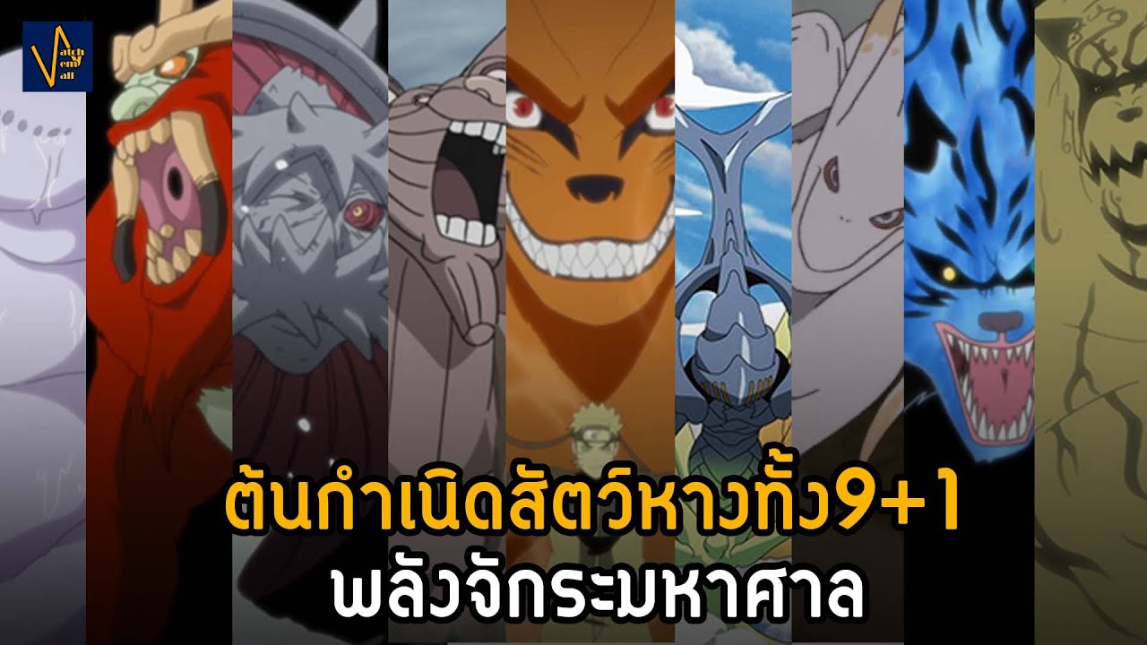 เจาะลึกประวัติชีวิต นิสัย และลำดับความเก่งของสัตว์หางทั้ง9+1 | Naruto