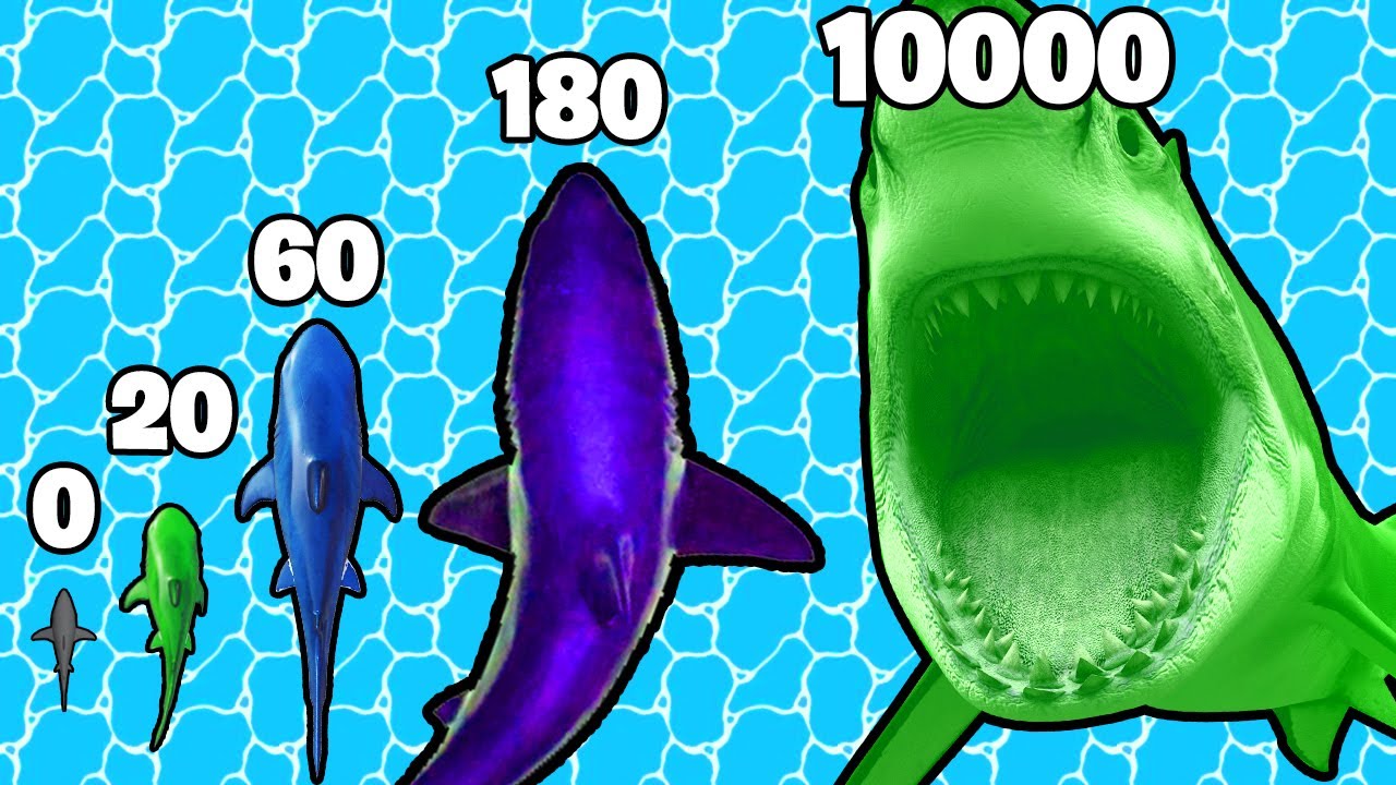 Faire Grandir un REQUIN jusqu'à sa TAILLE MAX !
