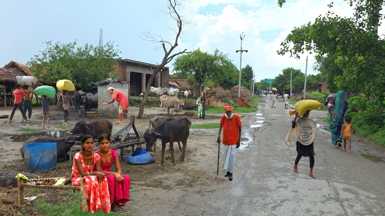 🇮🇳This Indian Neighborhood Will Surprise You [ Daily Life Of The People Of India #villagelife