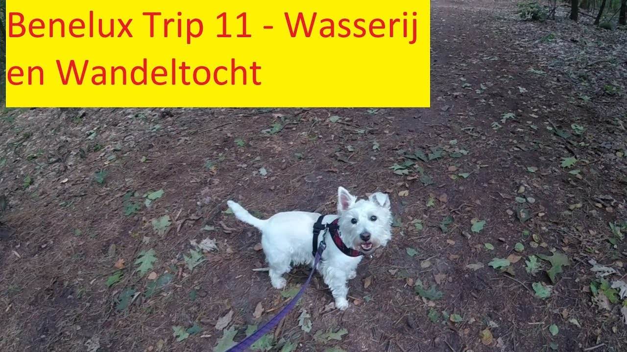 Wasserij en Wandletocht (washing and walk day) - Benelux Trip 11