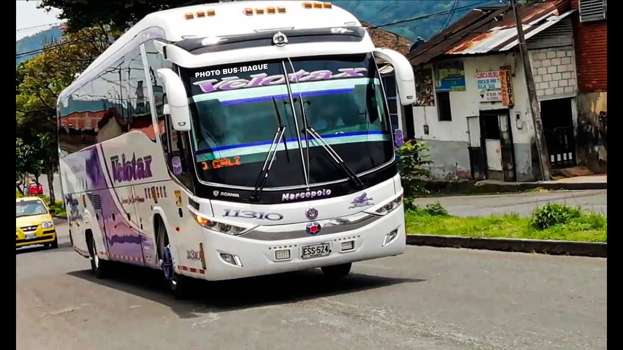 🌟Buses a la Salida & Entrada al Terminal de Ibagué 3🌟
