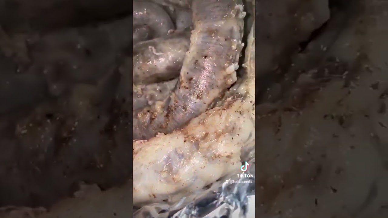Хасип, hasip, Xasip +998971775650