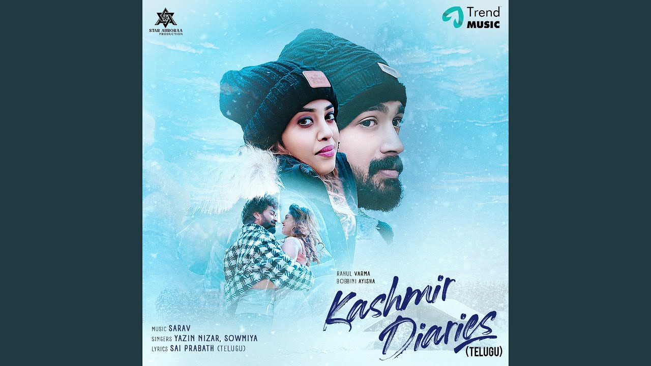 Kashmir Diaries