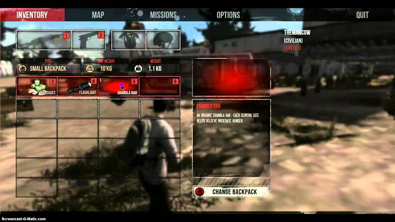 WarZ First Impression