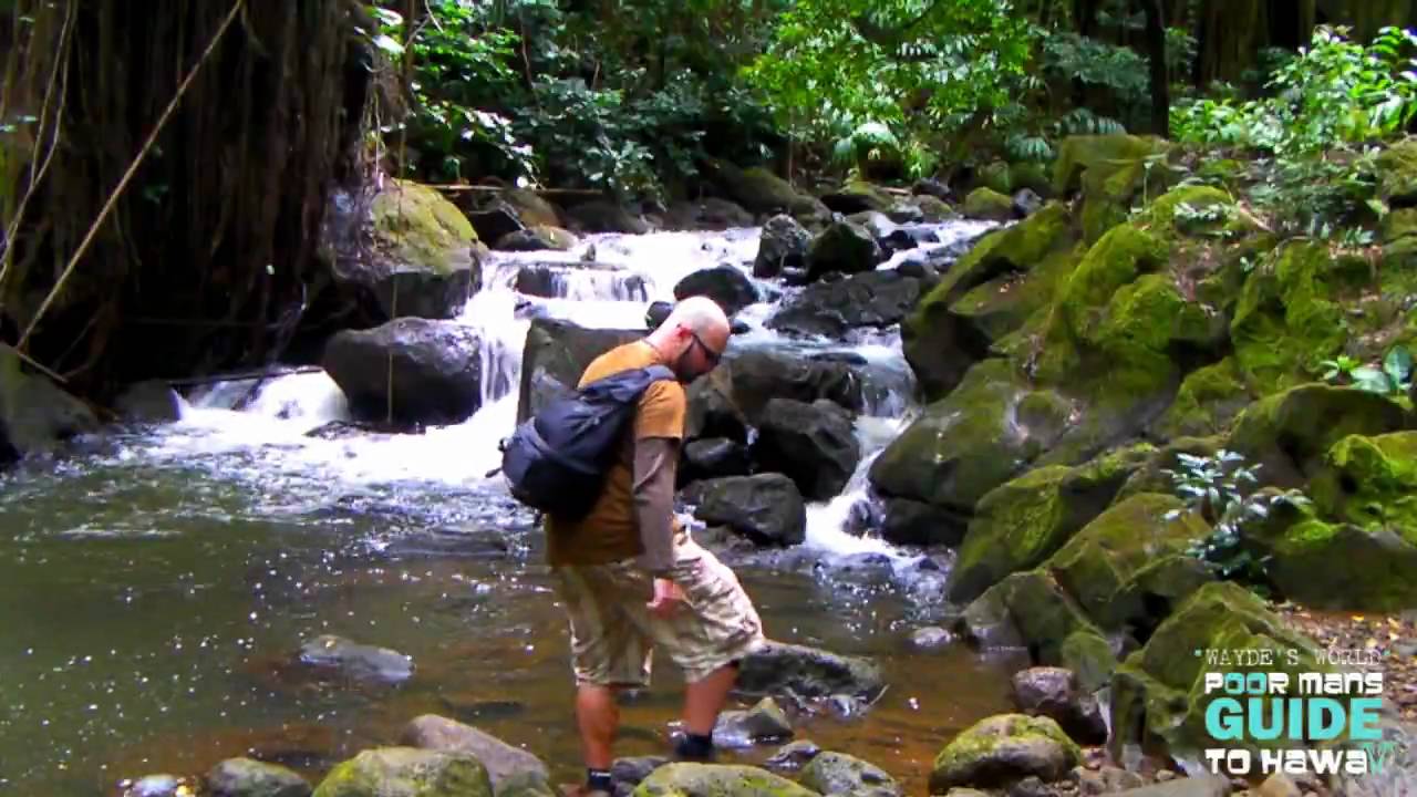 JUDD TRAIL and JACKASS GINGER POOL HD 