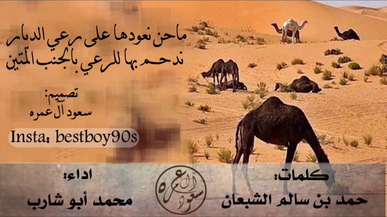 ماحن نعودها على رعي الديار اداء محمد ابو شارب كلمات حمد بن سالم الشبعان