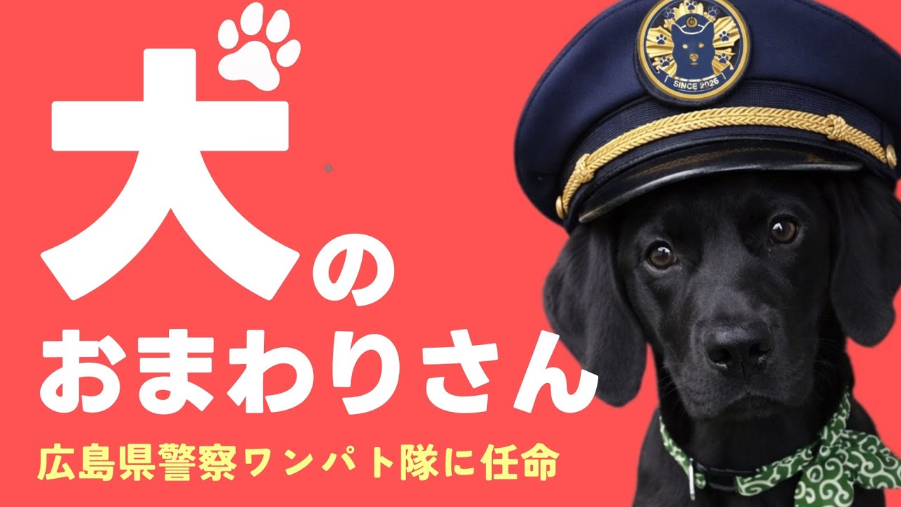 【広島県警察ワンパト隊】特別な資格は不要！愛犬が公式パトロール隊員に任命！