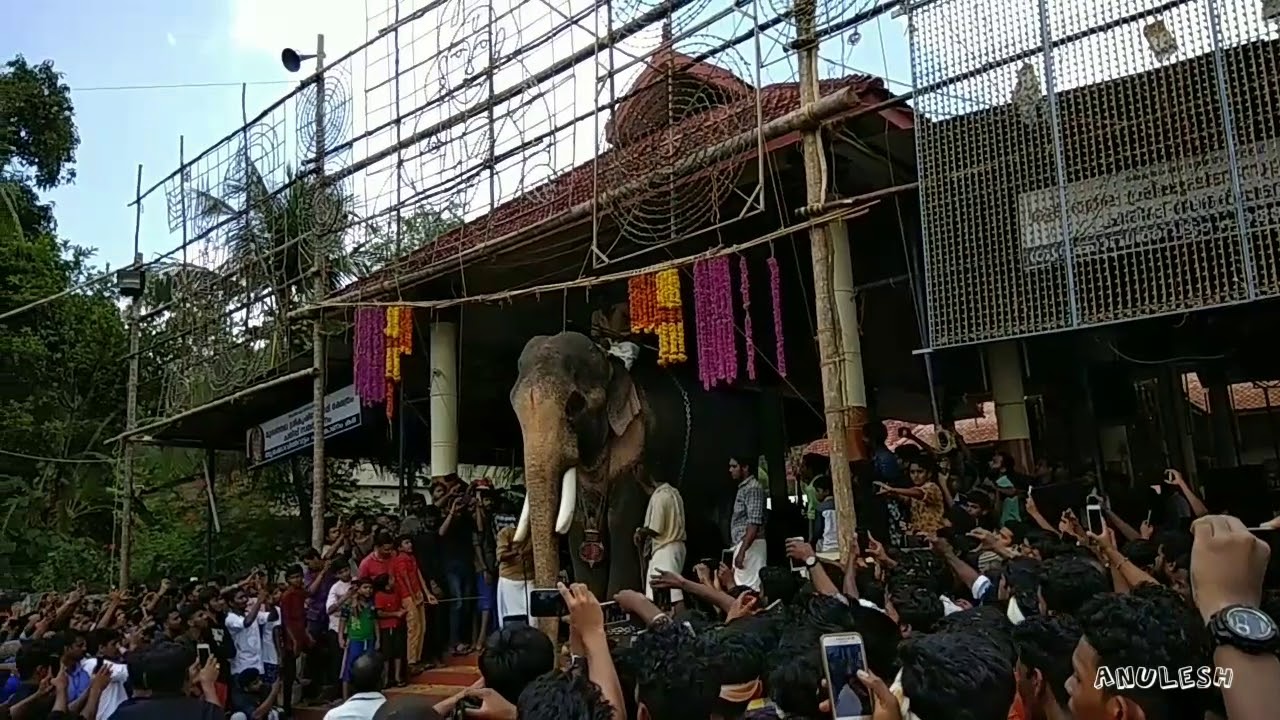 Raman entry @ Mukhathala ulsam 2018