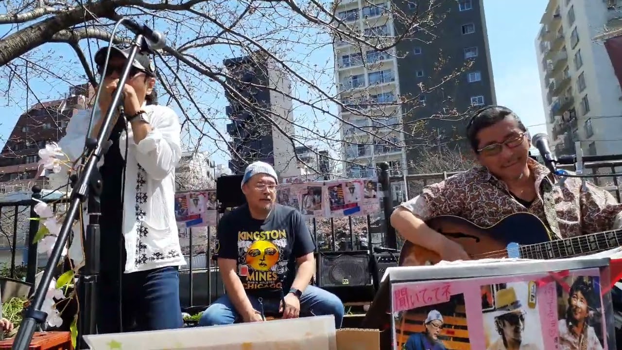 2024.3.31『Low down derty shame』大岡川桜まつり川沿い生演奏 黄金町The Outsiders前 ツカサ＆櫻田with藤井マサユキ