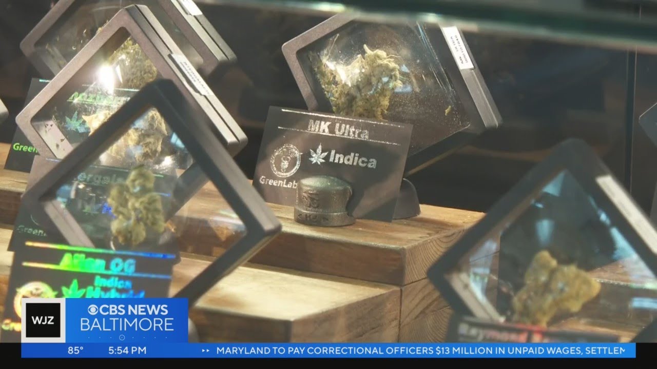 Maryland dispensaries have record sales through first weekend of recreational marijuana legalization
