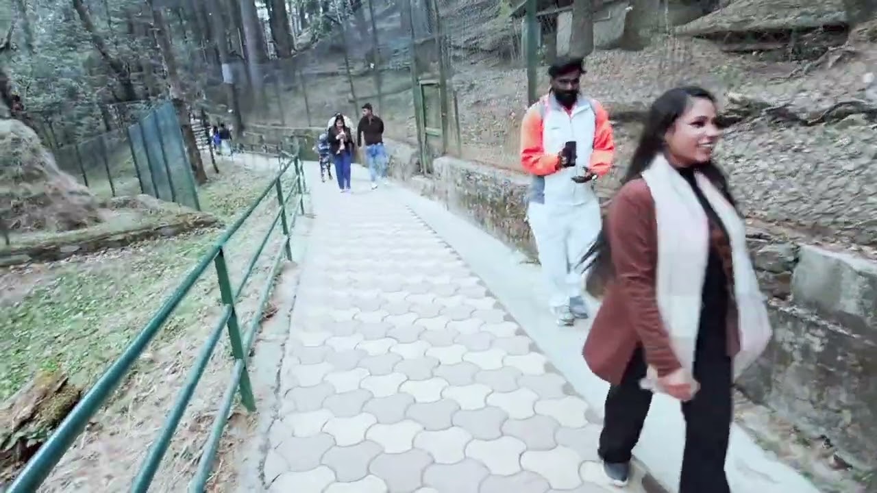 Shimla Trip Vlog  Part -1 | Kufri RoadTrip | Humare Saath Kuch Galat Ho Gaya #shimlavlog #shimlatrip
