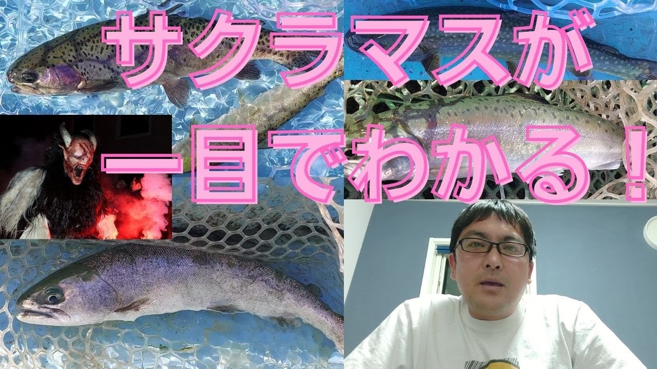 徹底解説！分かりやすいトラウトの魚種判別法！【グリーンのノーマネーフィッシング】