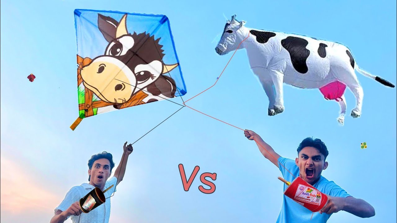 New Unique Cow Kite Catch Abubaker Roof | Cow Kite